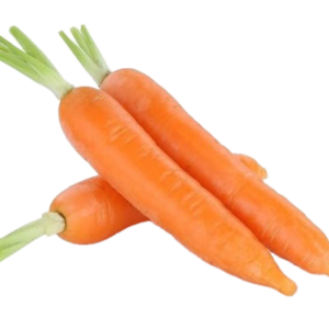 Carrot