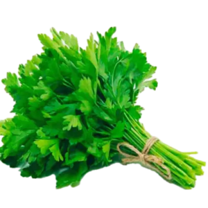 Coriander Leaves