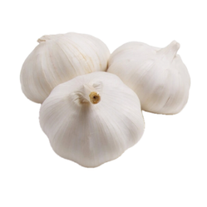 Garlic
