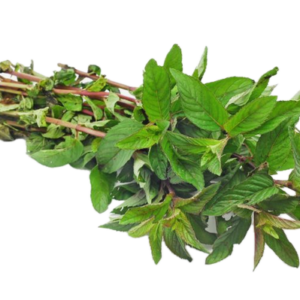 Mint Leaves
