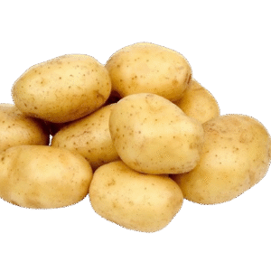 Potato