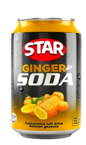 GINGER SODA /250ml